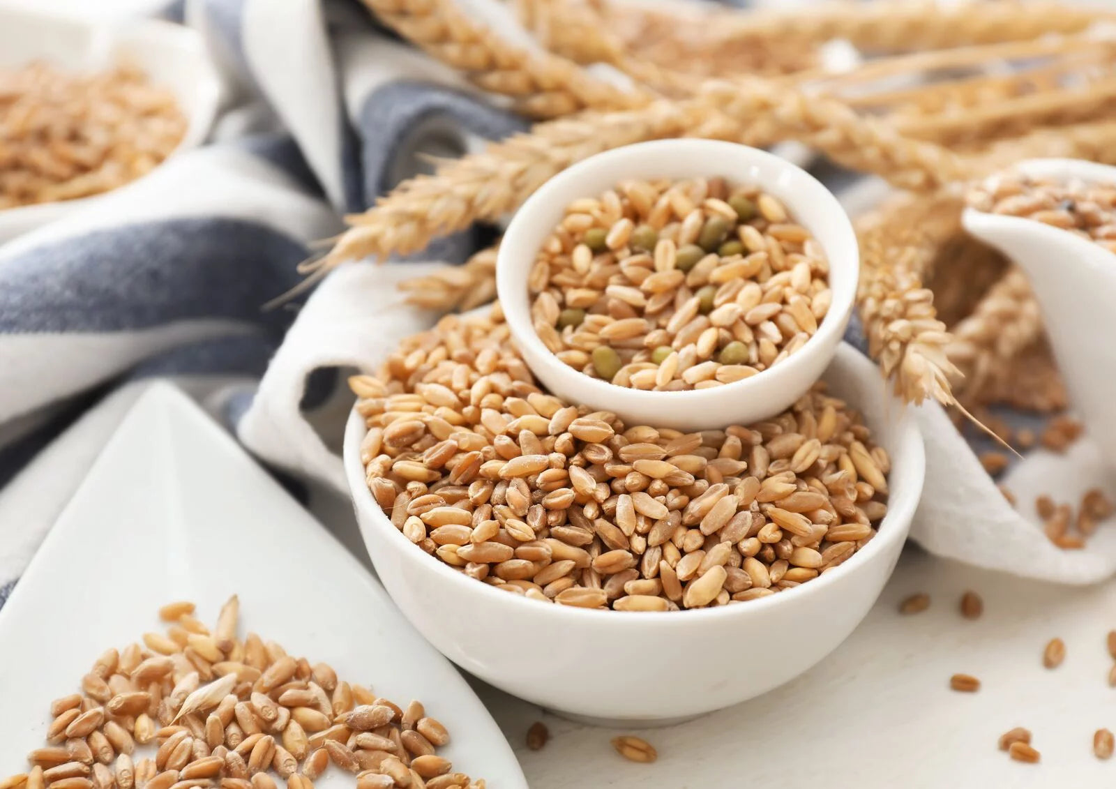 Wheat Berries, 20 Pounds — Kosher, Raw, Vegan by Food to Live Y911