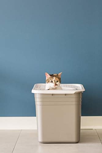 Petmate Top Entry Cat Litter Box with Filter Lid T84094