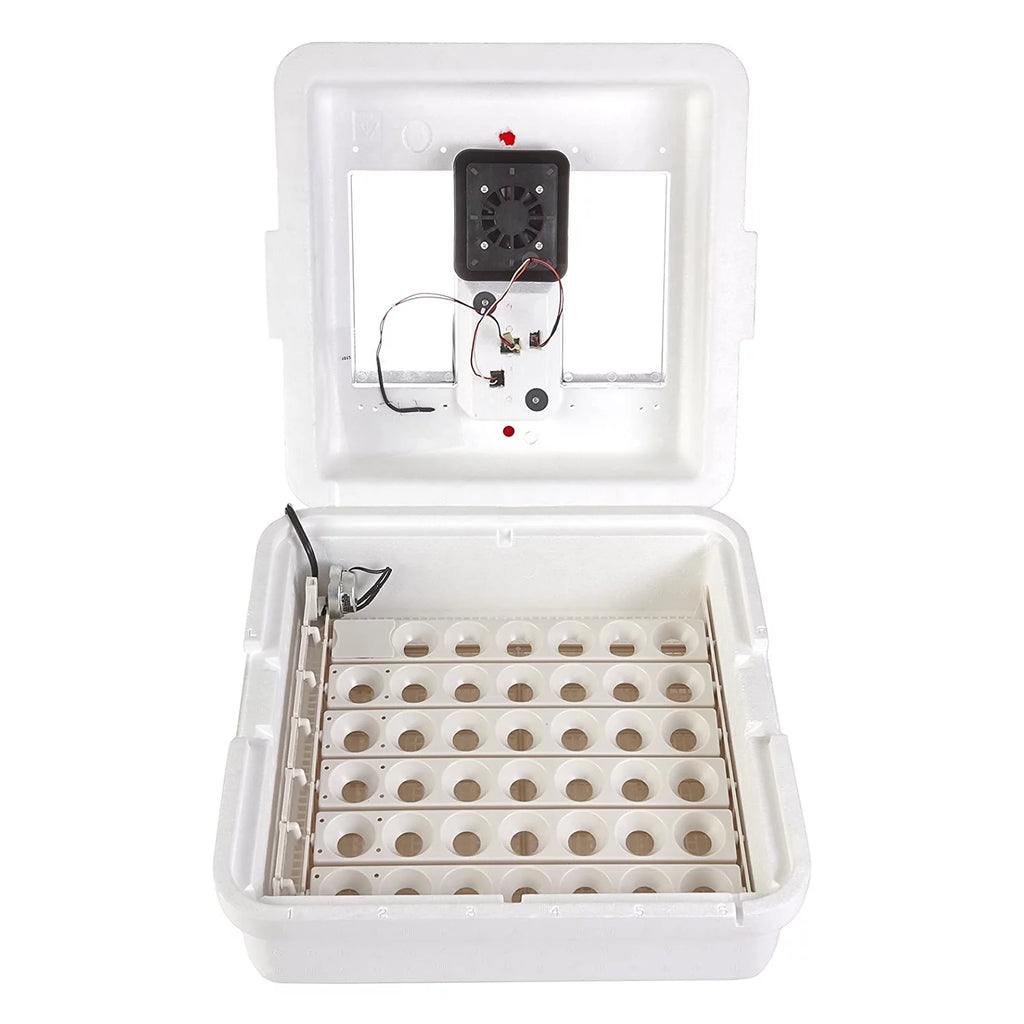 Miller Manufacturing 1213941 Deluxe Circulated Air Incubator with Egg Turner