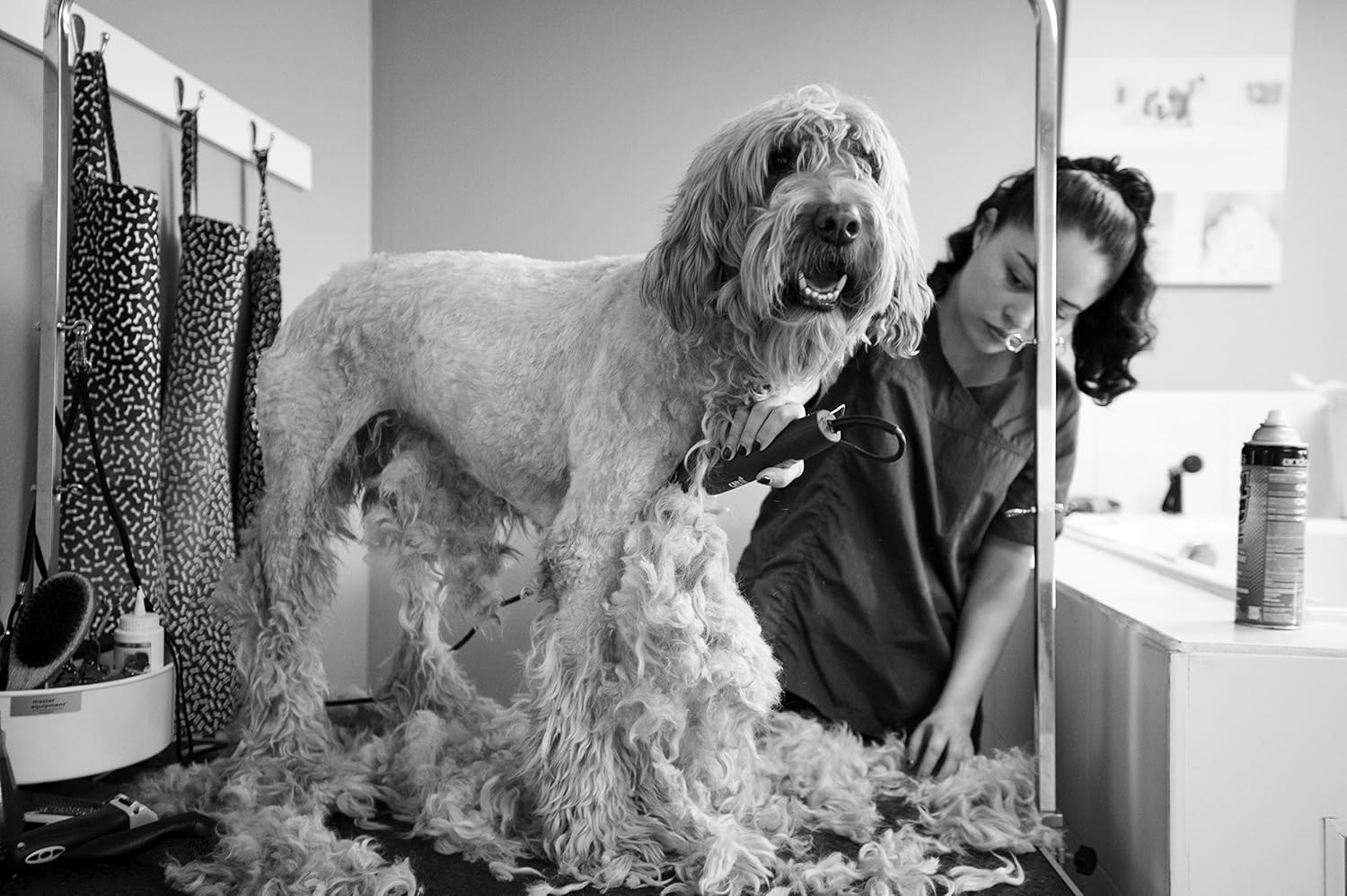 Andis UltraEdge Super 2-Speed Detachable Blade Clipper for Dog Grooming K149442