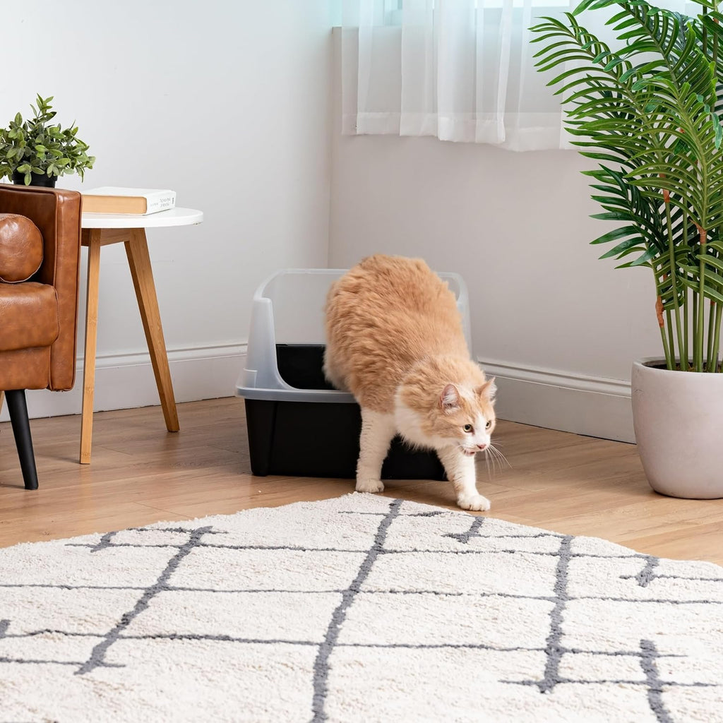 IRIS USA Extra Large Cat Litter Box with Scatter Shield, Open Top, Black R559647