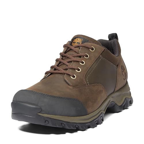 Timberland men's Mt. Maddsen Waterproof Low Hiking Boot