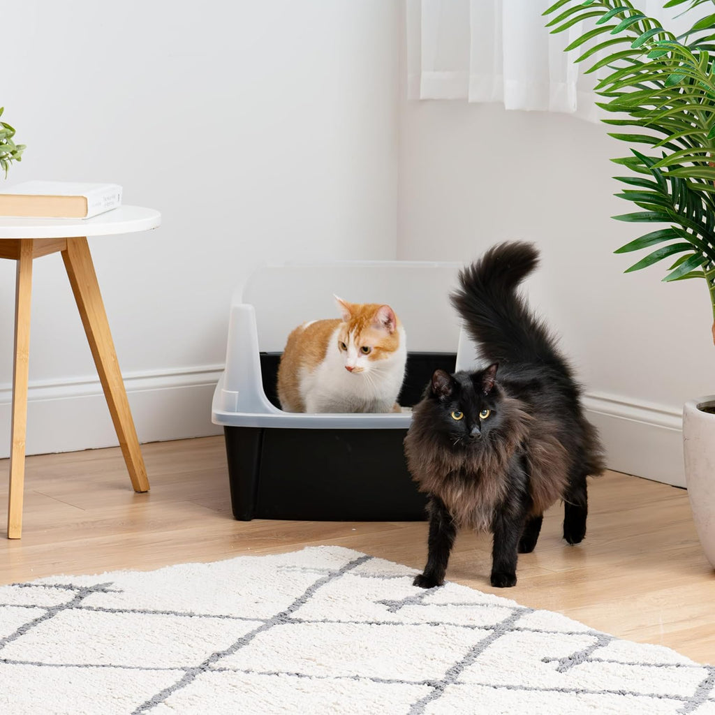 IRIS USA Extra Large Cat Litter Box with Scatter Shield, Open Top, Black R559647