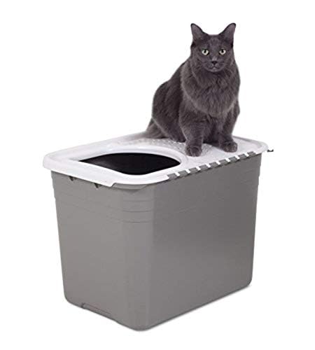 Petmate Top Entry Cat Litter Box with Filter Lid T84094