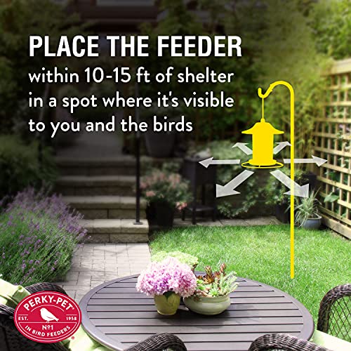 Perky-Pet 312-1SR Outdoor Panorama Wild Bird Feeder K875903