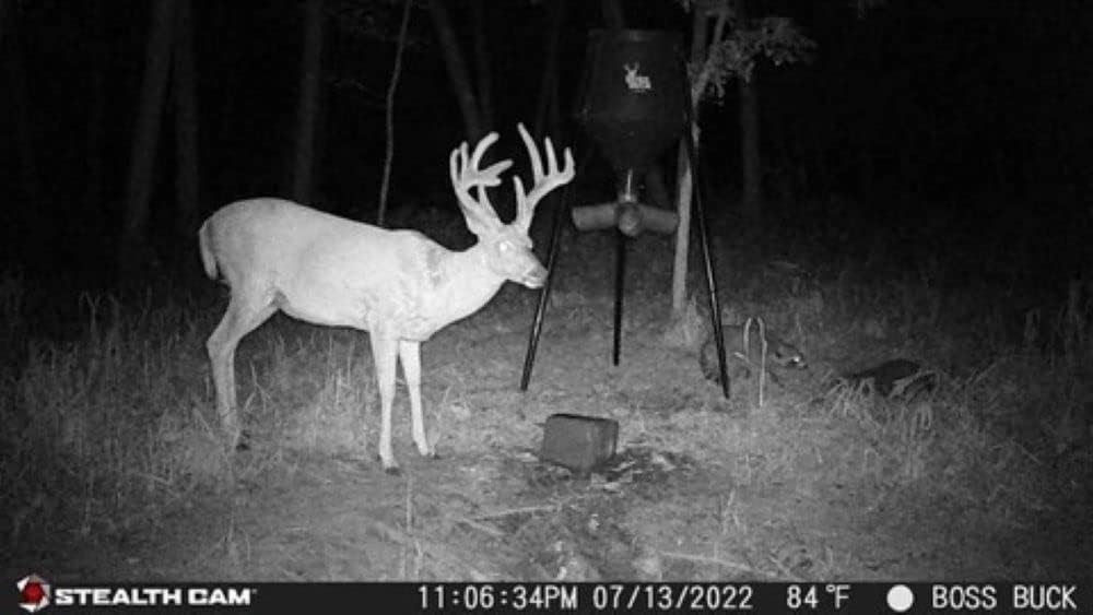 Stealth Cam GMAX32 32MP 1080P Trail Camera with Security Box K917391