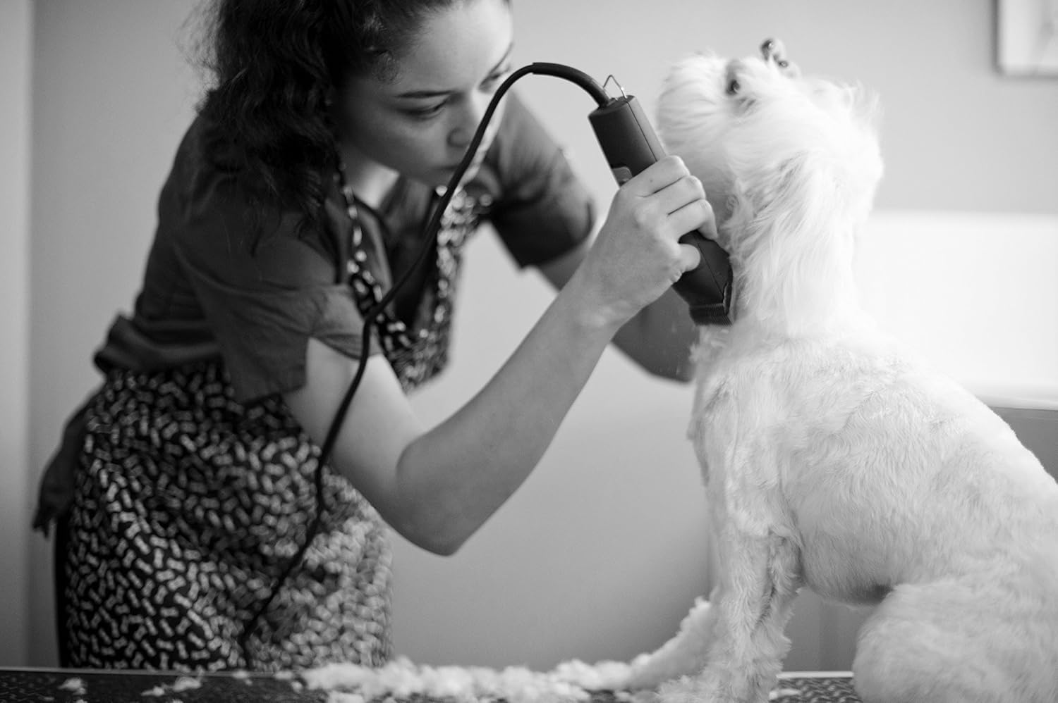 Andis UltraEdge Super 2-Speed Detachable Blade Clipper for Dog Grooming K149442