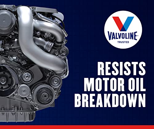 Valvoline Daily Protection SAE 5W-20 Synthetic Blend Motor Oil 5 QT H58403