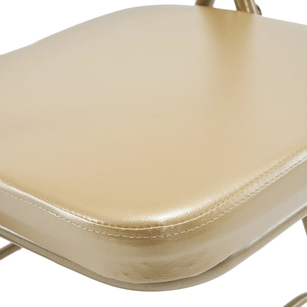 2 Pack Metal Folding Chairs with Padded Seat and Back G6064