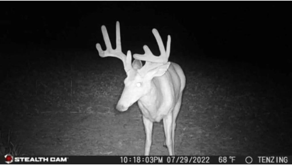 Stealth Cam 24MP Trail Camera 2 Pack W393466
