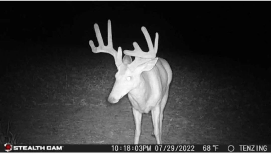 Stealth Cam 24MP Trail Camera 2 Pack W393466