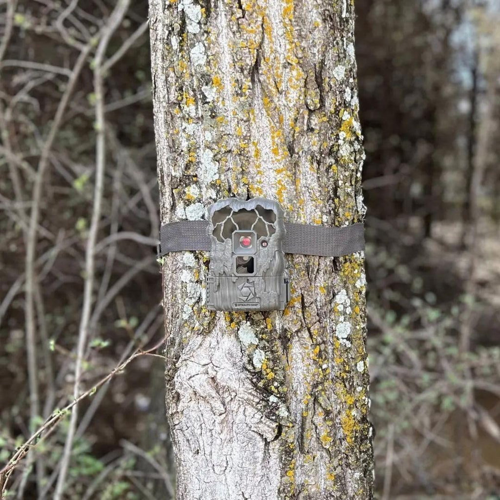 Stealth Cam 24MP Trail Camera 2 Pack W393466