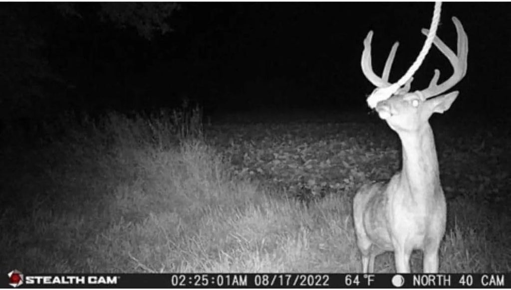 Stealth Cam 24MP Trail Camera 2 Pack W393466