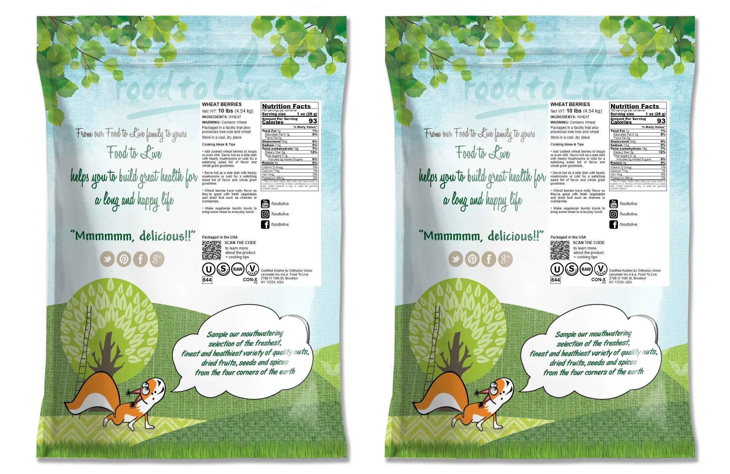 Wheat Berries, 20 Pounds — Kosher, Raw, Vegan by Food to Live Y911