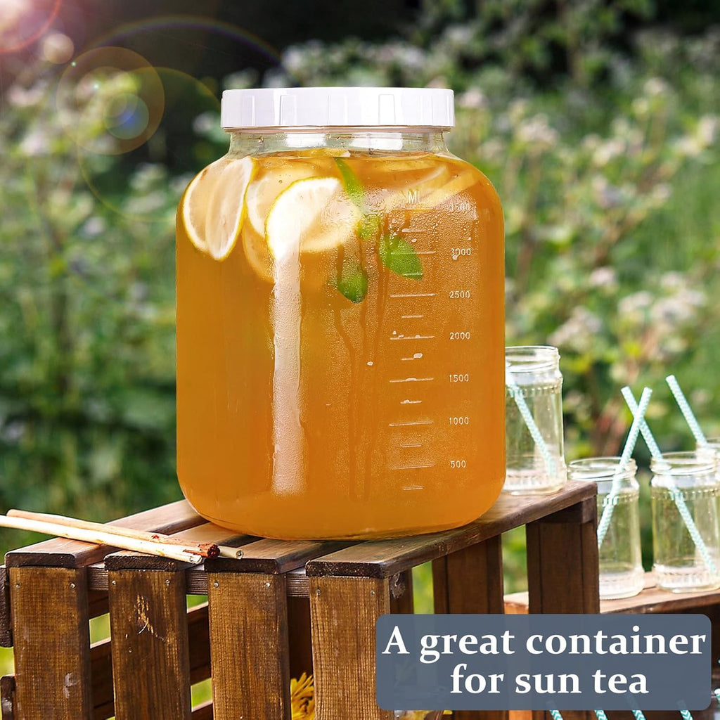 Folinstall Wide Mouth 1 Gallon Clear Glass Mason Jar with Airtight Lid P809