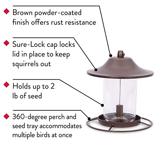 Perky-Pet 312-1SR Outdoor Panorama Wild Bird Feeder K875903