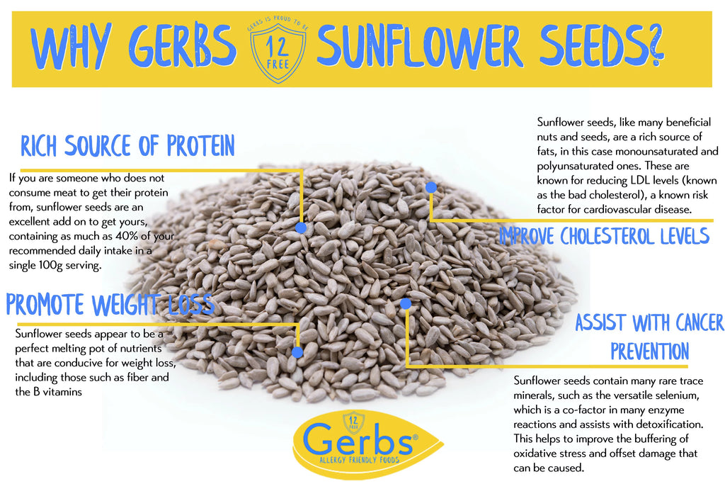 Roasted Sunflower Seed Kernels by Gerbs, Unsalted, 2 LBS, Non GMO B415