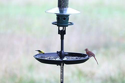 Squirrel Buster Plus Squirrel-proof Bird Feeder with Cardinal Ring, Green S5701