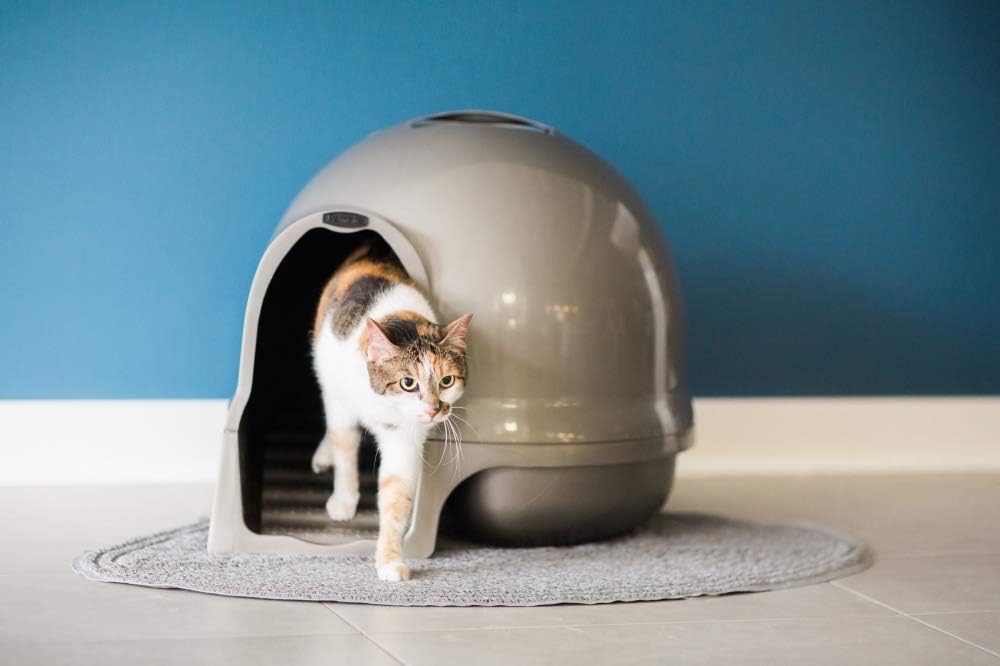Petmate Booda Clean Step Cat Litter Box Dome, Brushed Nickel J9219