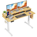 Home Office Height Adjustable Electric Standing Desk with Storage Shelf Double Drawer