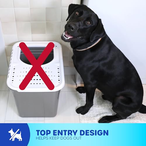 Petmate Top Entry Cat Litter Box with Filter Lid T84094