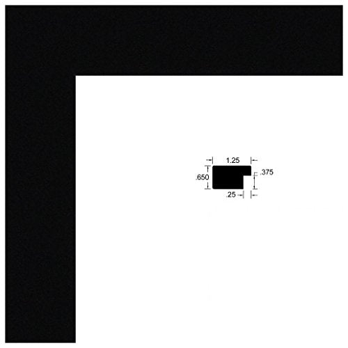 ArtToFrames 10x20 Inch Black Picture Frame with Regular Glass U320
