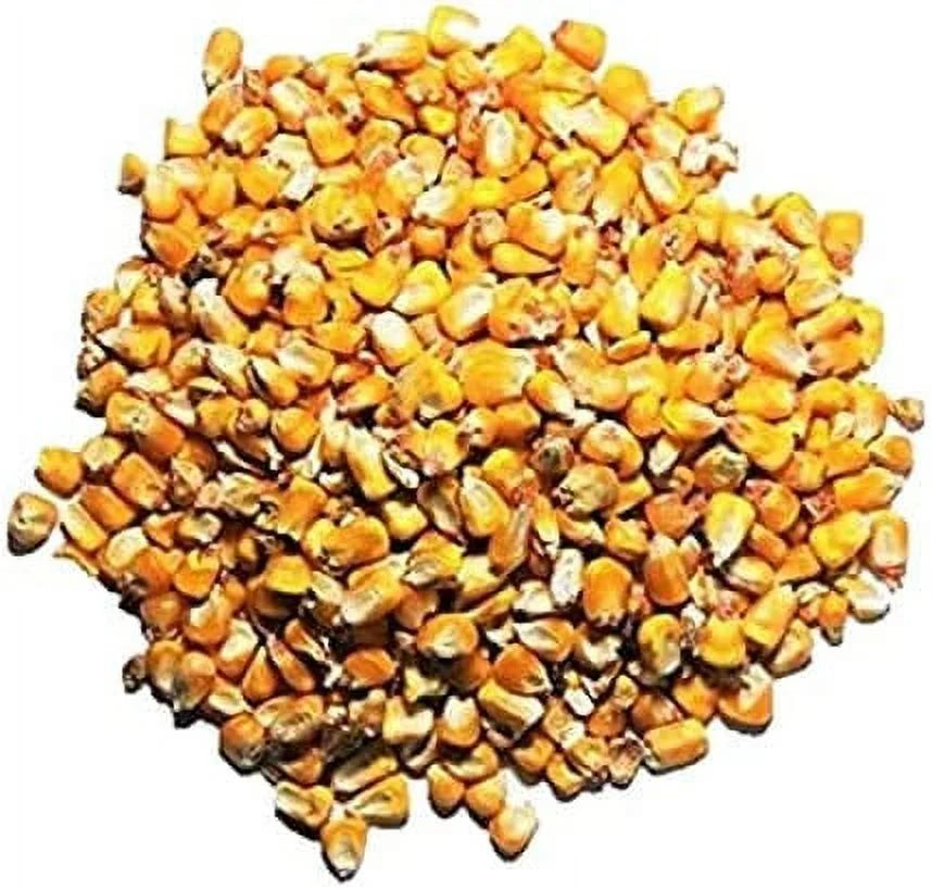 Woody's Whole Corn Wild Bird and Deer Feed 10LB H52723