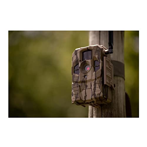 Stealth Cam Connect Cellular Trail Camera 2-Pack with 32GB SD Cards and Card Reader G489