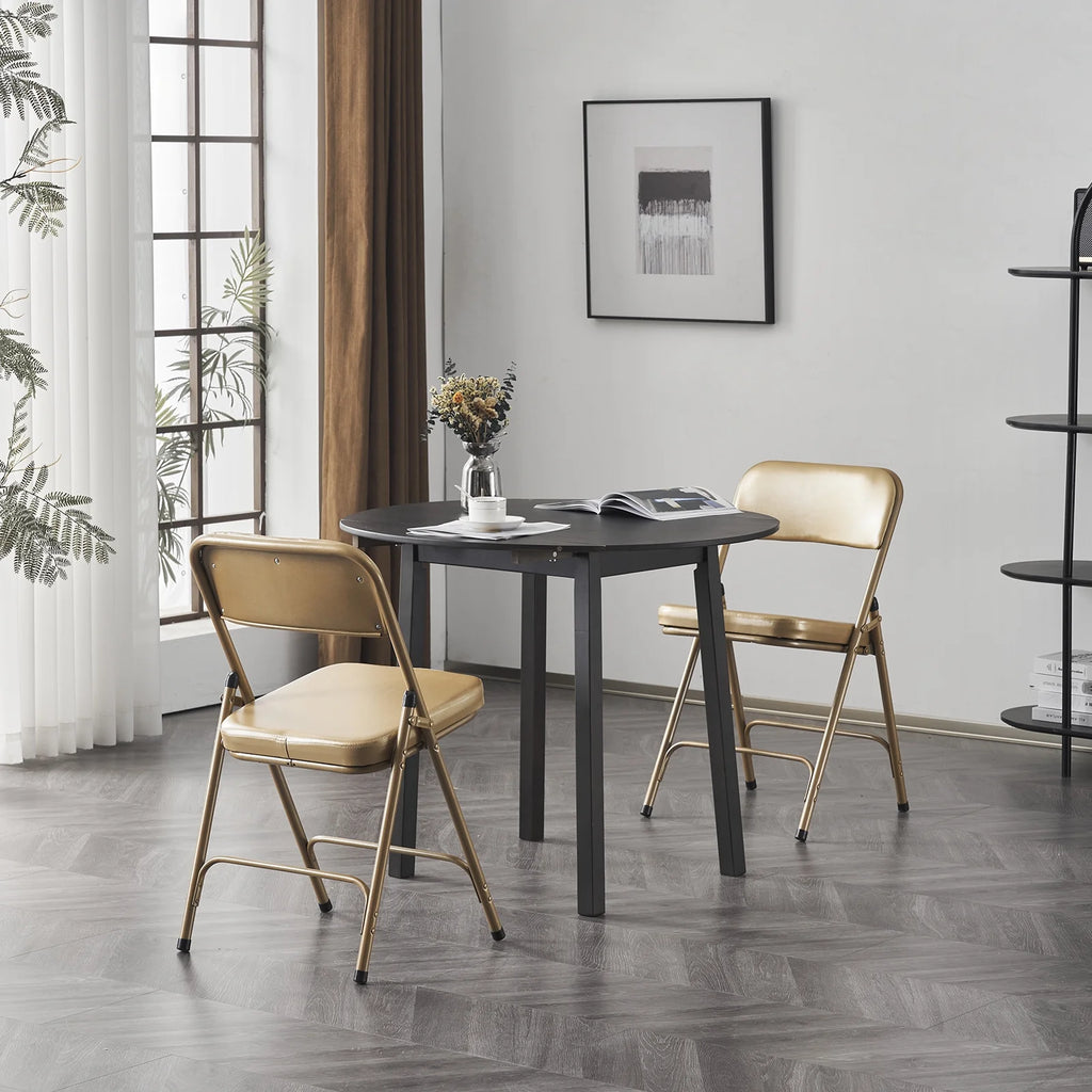2 Pack Metal Folding Chairs with Padded Seat and Back G6064