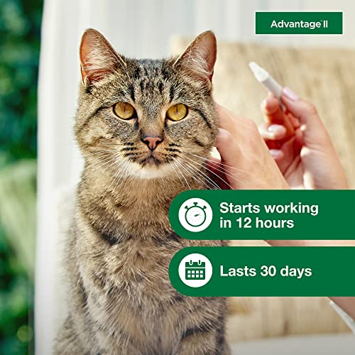 Advantage II Large Cat Vet-Recommended Flea Treatment & Prevention, 12-Month Supply H458