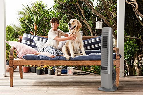 Lasko 42" Portable Outdoor Tower Fan with Bluetooth, Black B843