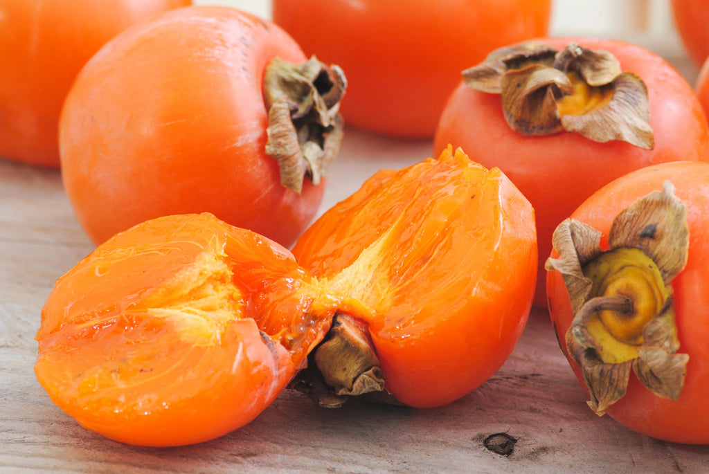Fuyu Persimmon Tree 4-5ft Edible Fruit Heat Tolerant C905