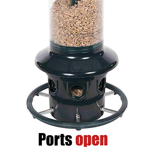 Squirrel Buster Plus Squirrel-proof Bird Feeder with Cardinal Ring, Green S5701