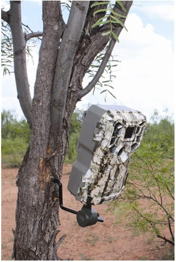 Stealth Cam Browtine 14MP Trail Camera with Video (2-Pack) Bundle with Card Reader D11560