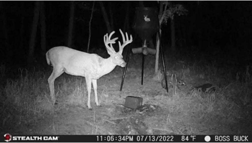 Stealth Cam 24MP Trail Camera 2 Pack W393466