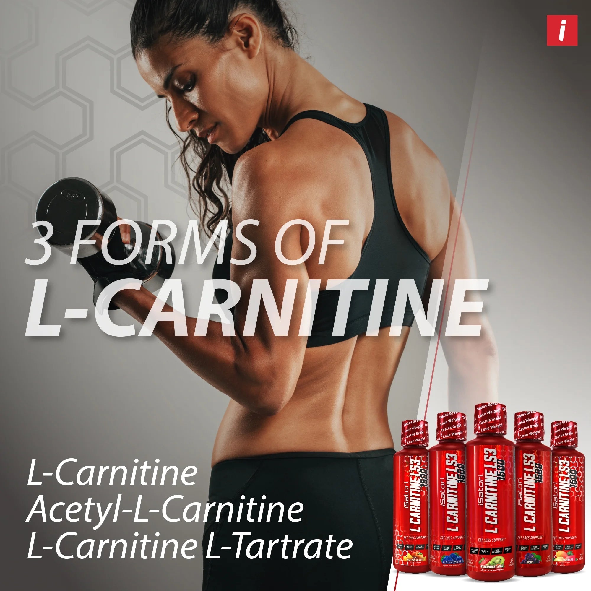 iSatori L-Carnitine LS3 Concentrated Liquid Metabolic Enhancer - Strawberry Kiwi 1500mg Z687