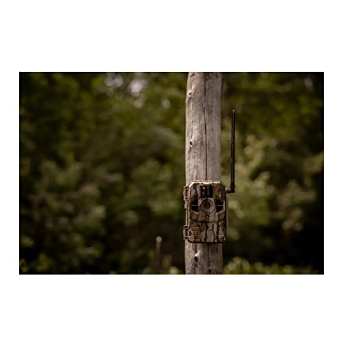 Stealth Cam Connect Cellular Trail Camera 2-Pack with 32GB SD Cards and Card Reader G489