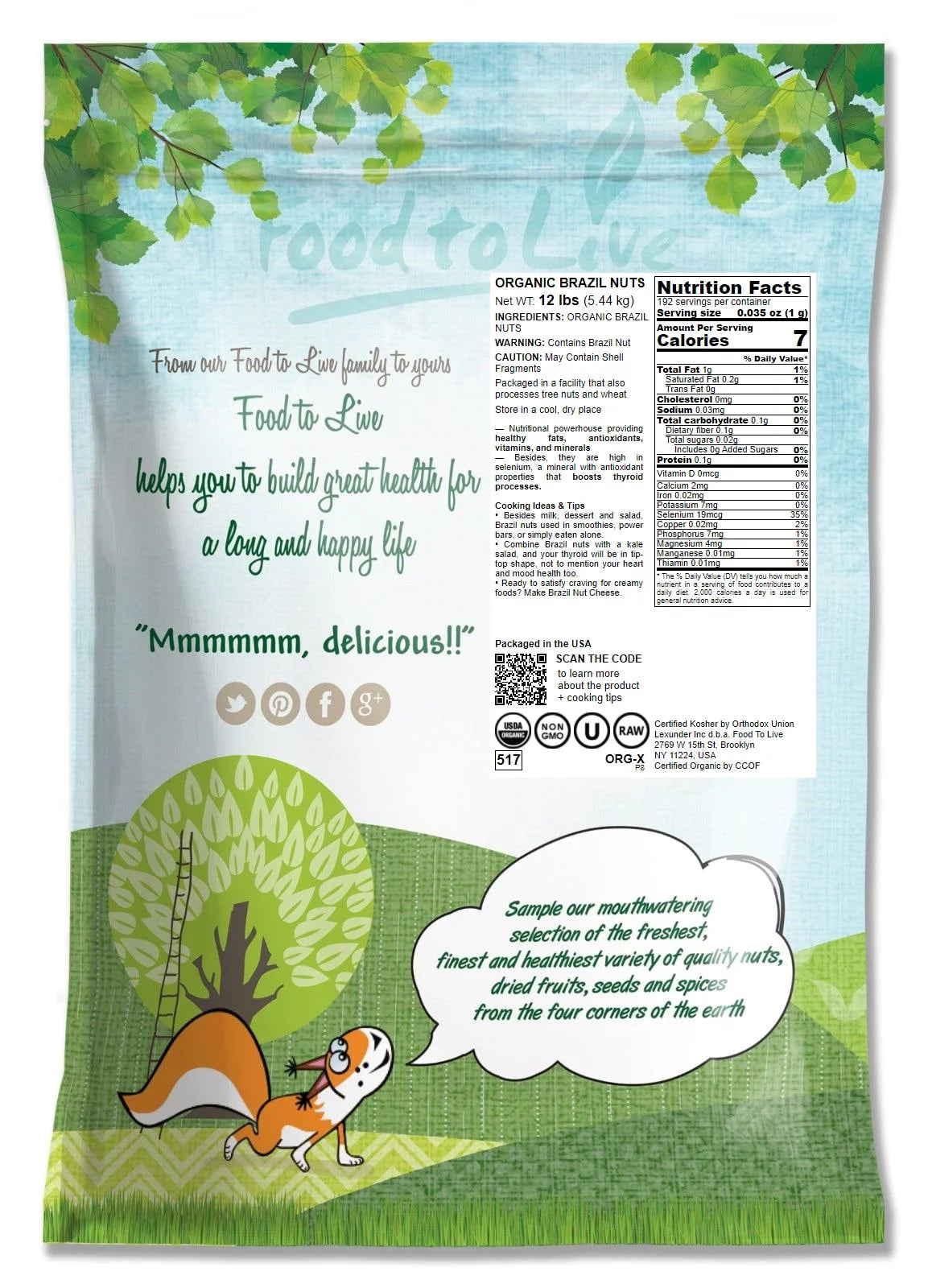 Organic Brazil Nuts, Non-GMO, 12 Pounds by Food to Live S42685