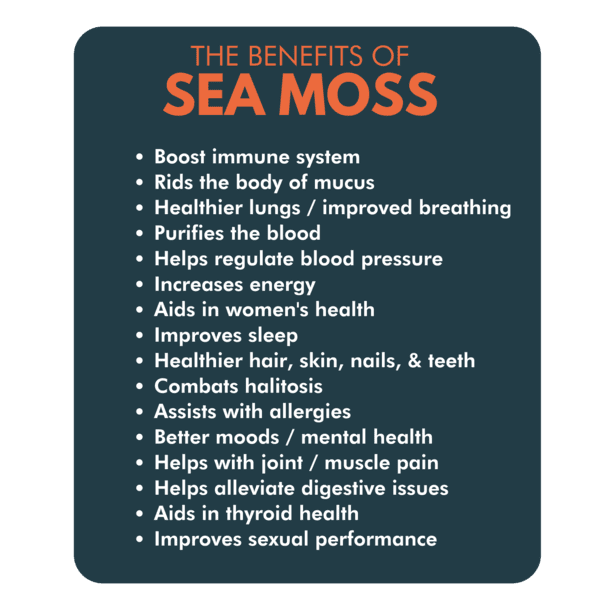 Organic Wildcrafted Irish Sea Moss 1000mg Vegan Capsules I19750