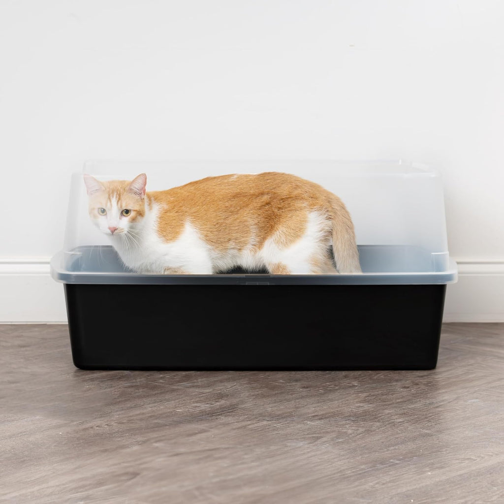 IRIS USA Extra Large Cat Litter Box with Scatter Shield, Open Top, Black R559647