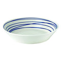 Royal Doulton Pacific Splash Pasta Bowl
