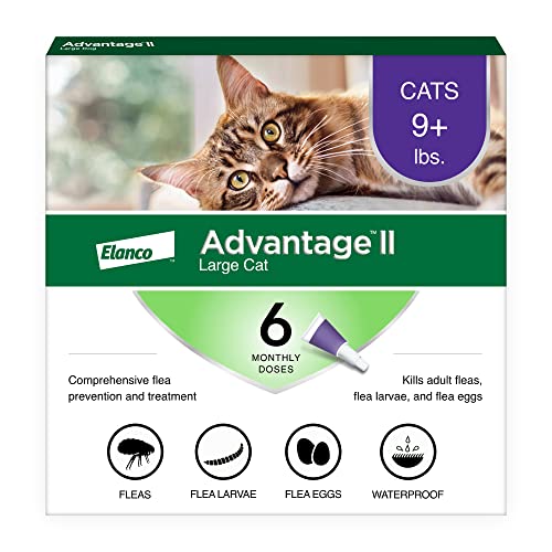 Advantage II Large Cat Vet-Recommended Flea Treatment & Prevention | Cats Over 9 lbs. | 12-Month Supply