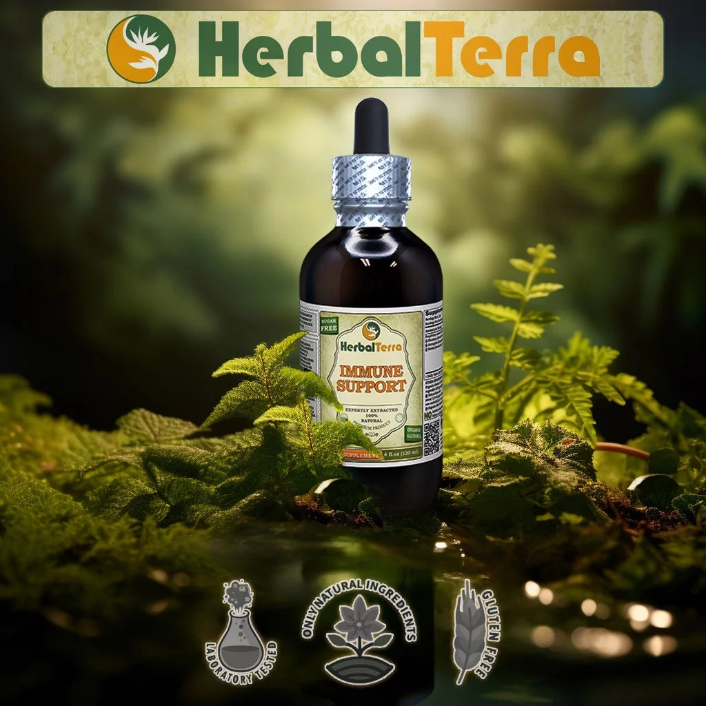 Potato Sprout Liquid Extract by HerbalTerra, Glycerite, 32 Fl Oz L46970