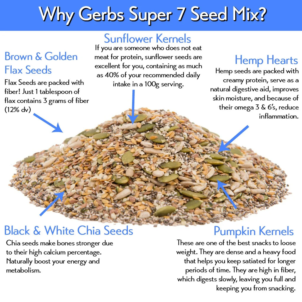 GERBS Dried Fruit Seed Salad Trail Snack Mixes, Allergy Free, Vegan J548575