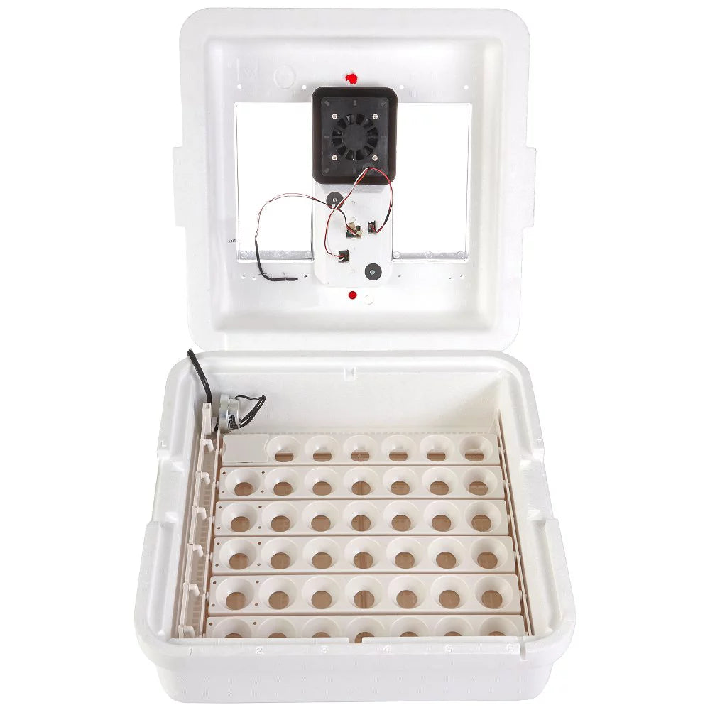 Miller Manufacturing Deluxe Circulated Air Incubator with Egg Turner A482706