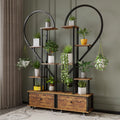 Walsport 6 Tier Plant Stand Indoor,Heart-Shape Plant Shelf with Drawer&Roller,Metal with Wood Plant Shelf for Home Decor,2pcs