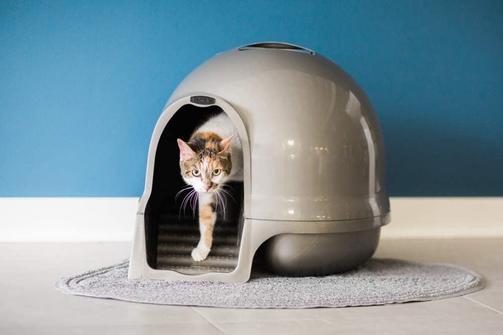 Petmate Booda Clean Step Cat Litter Box Dome, Brushed Nickel J9219