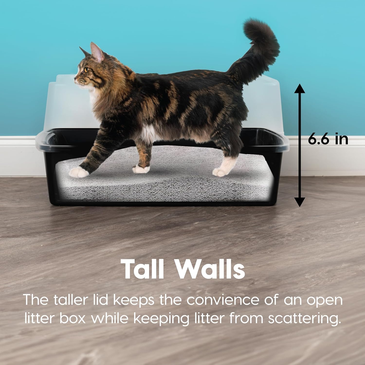 IRIS USA Extra Large Cat Litter Box with Scatter Shield, Open Top, Black R559647