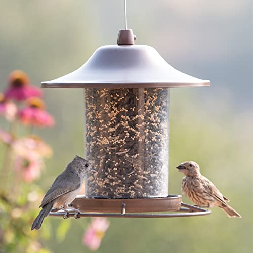 Perky-Pet 312-1SR Outdoor Panorama Wild Bird Feeder K875903