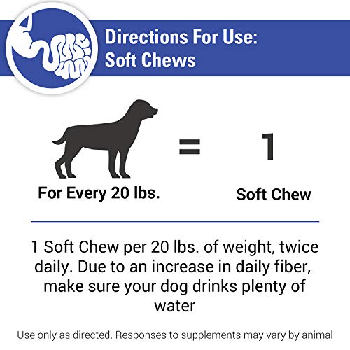 Vet Classics No Scoot Dog Supplements for Healthy Anal Gland Function – 120 Soft Chews K4311